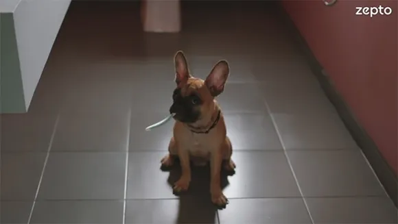 L&K Saatchi & Saatchi bags Zepto's branding and communication mandate