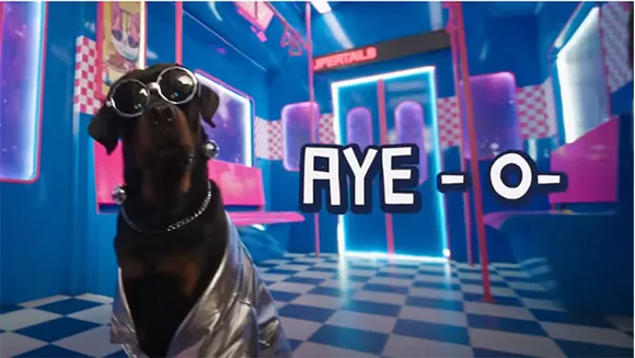 Supertails drops rap video to unveil annual swag sale