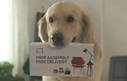 Urban Ladder turns pets into protagonists