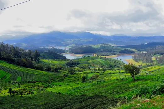 Ooty3