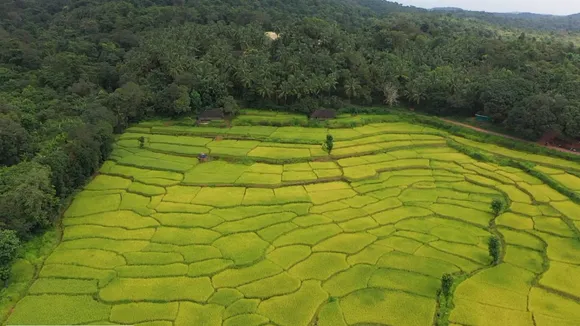 Goa