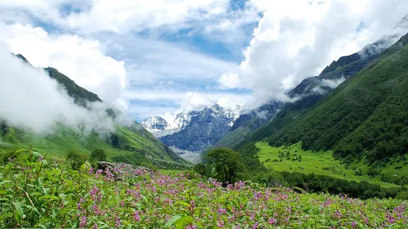 Valley of Flowers