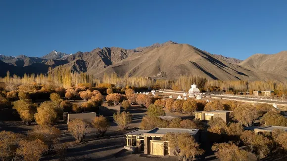 The Postcard in the Himalayan Willows