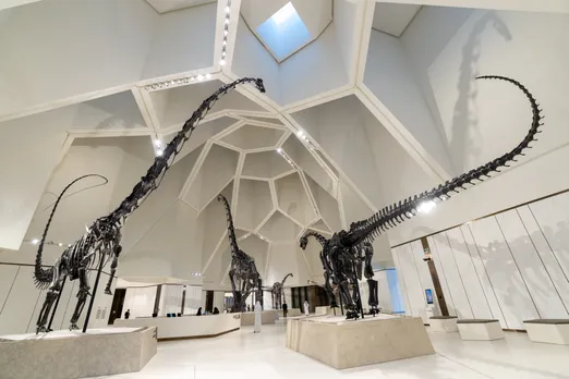 Natural History Museum Abu Dhabi Opening