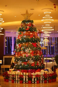 A Sustainable Christmas at Novotel Visakhapatnam Varun Beach (1)