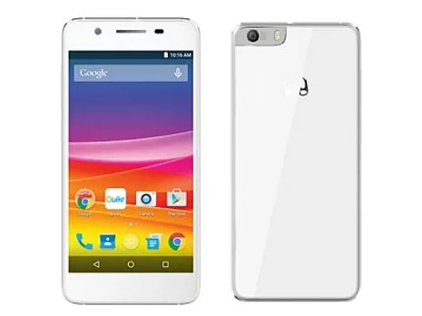 canvas G