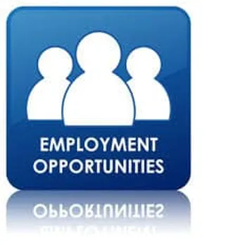 employment