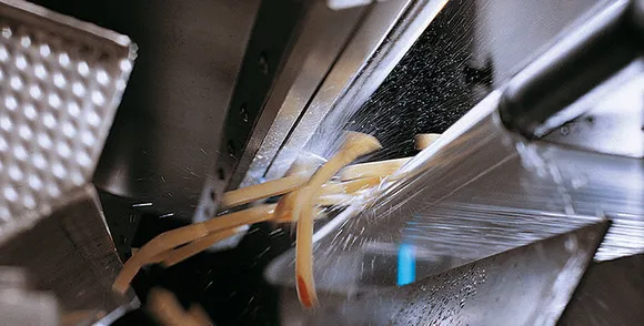 Tomra sorting machine saves your time by sorting unripe tomatoes from the riped ones