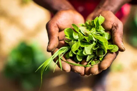 CropIn to improve climate adaptation and resilience for African farmers