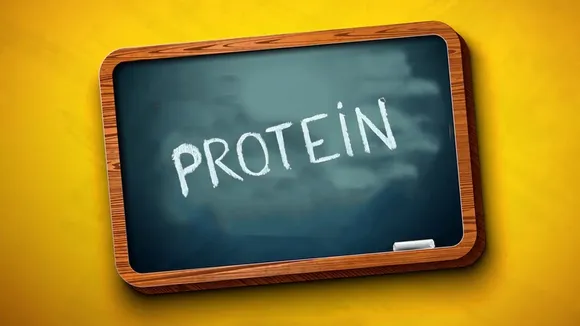 protein