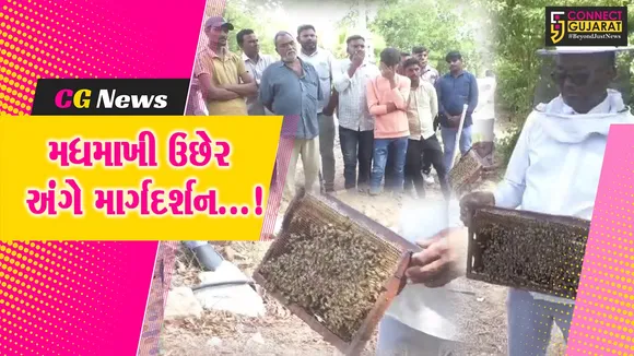 world bee day