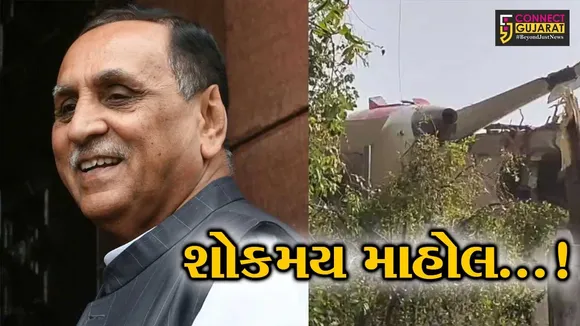 vijay rupani dna match