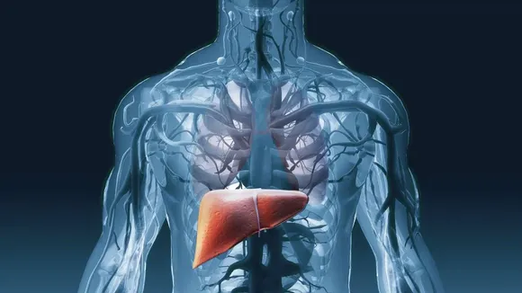 liver