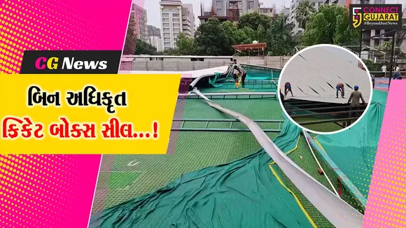 The Dot Ball Cricket Box