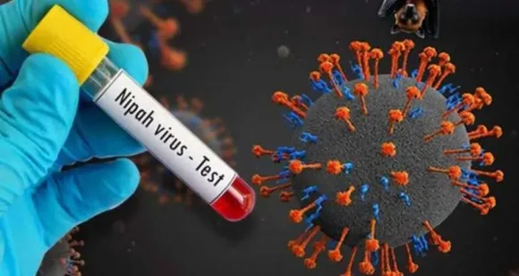 nipa virus
