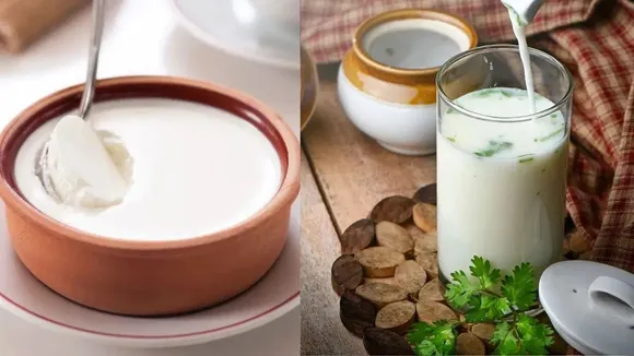 curd