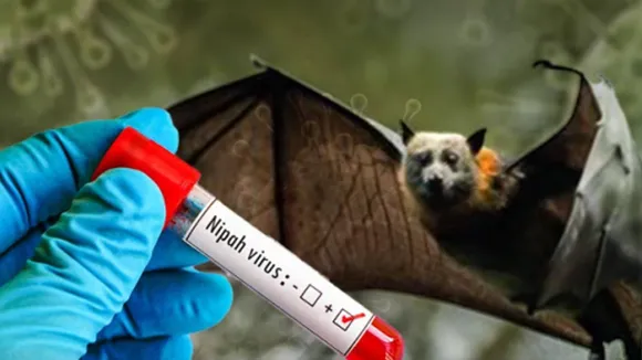 nipah
