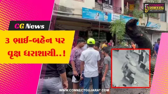 Valsad Tree collaps