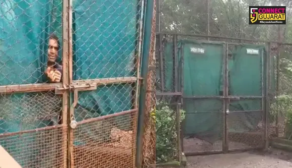 Maharaj Bagh Zoo
