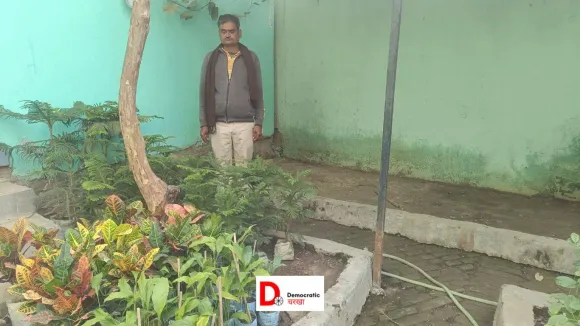 नया रोजगार: अगर सरकार चाहे तो पौधा उद्योग से मिलेगी कई नौकरियां