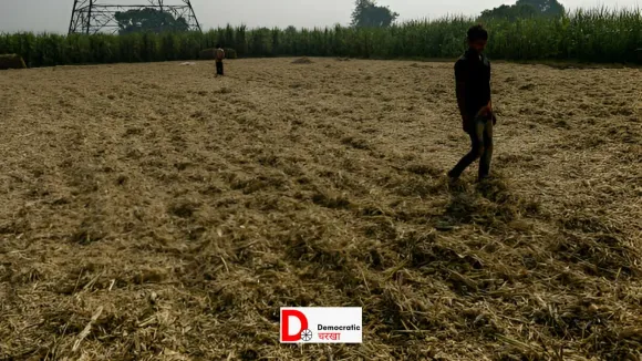 बिहार में कृषि योजना फ़ेल