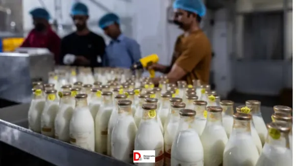 मिल्क फेडरेशन