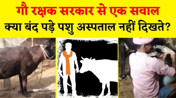 बेगूसराय में पशु चिकित्सालय कार्यरत नहीं, इलाज के अभाव में मवेशियों की मौत