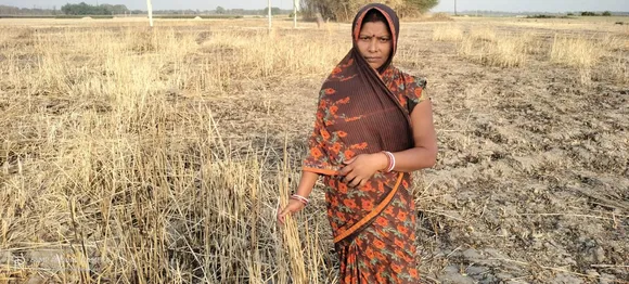 सरकार अपने गेंहू ख़रीद के लक्ष्य को पूरा नहीं कर पायी अब लगी निर्यात पर रोक