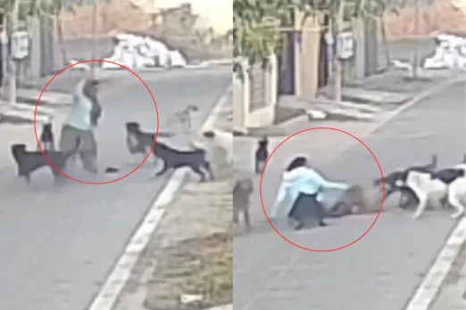 Agra Viral Video