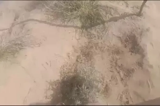 Jaisalmer Viral Video 