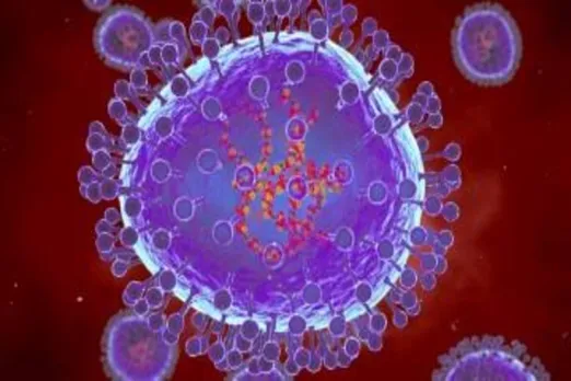HMPV Virus 