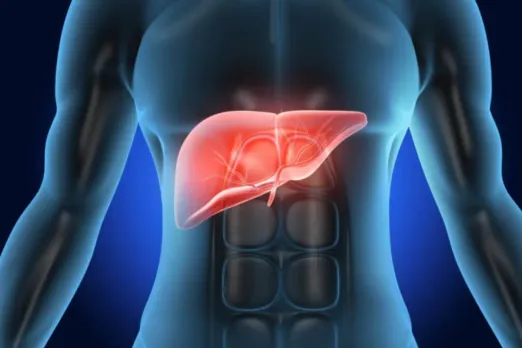 Liver Health