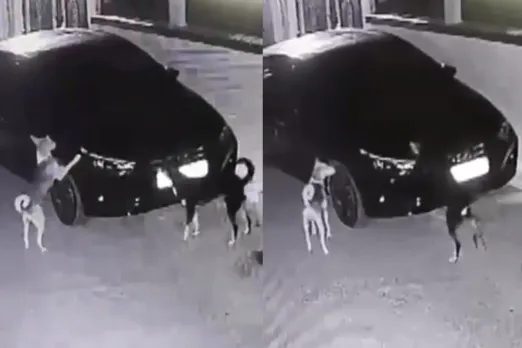 Viral Video