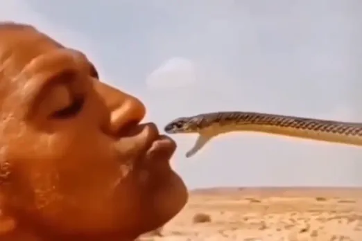 Viral Video