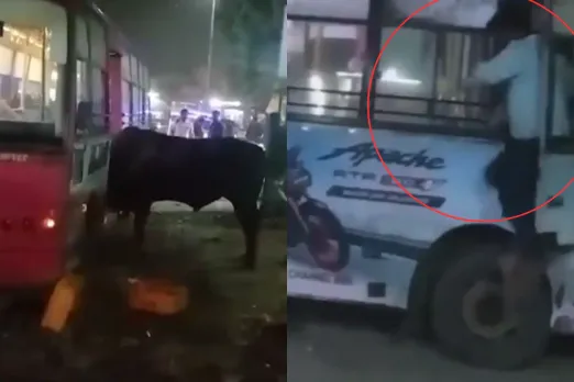 Jaipur Viral Video
