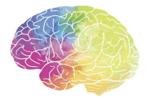 Brain 