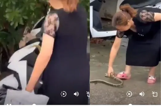 Viral video