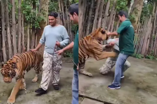 viral video