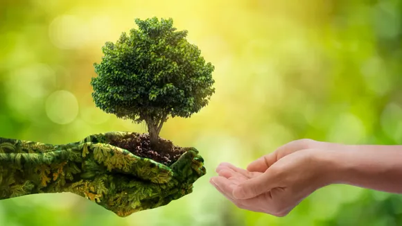 world-environment-day-2025