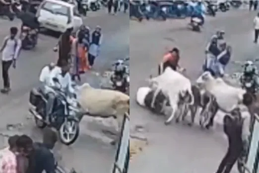 Nashik Viral Video
