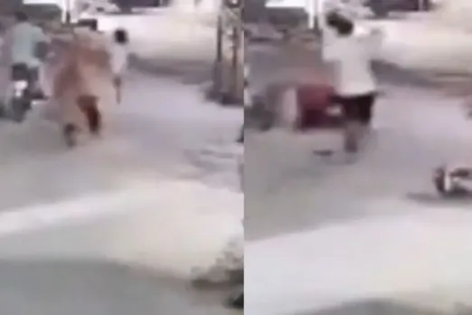 Lion assaults woman and children