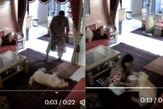 Maid beating pet mercilessly