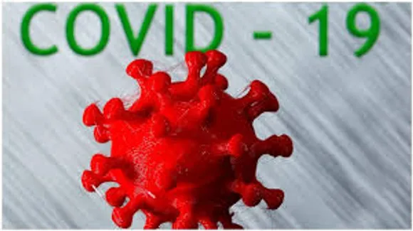 Brazil covid cases