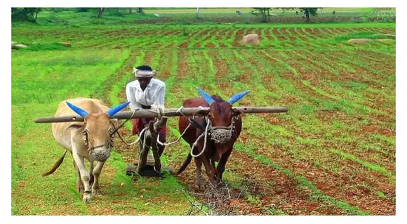 SC seeks Centre's response on pleas challenging farm laws