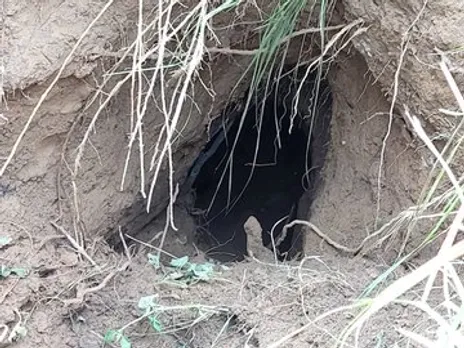 BSF detects underground tunnel in Jammu and Kashmir
