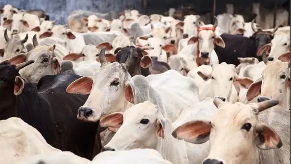 Karnataka
