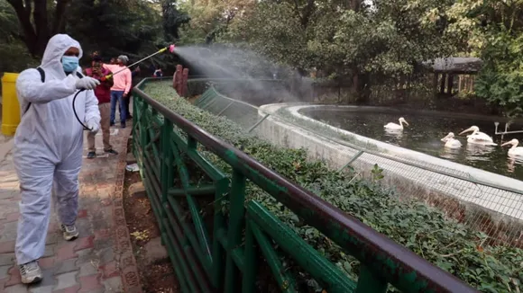 Bird Flu case reported in Delhi, poultry owners scared