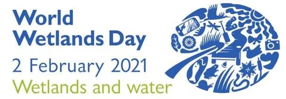 Wetland day