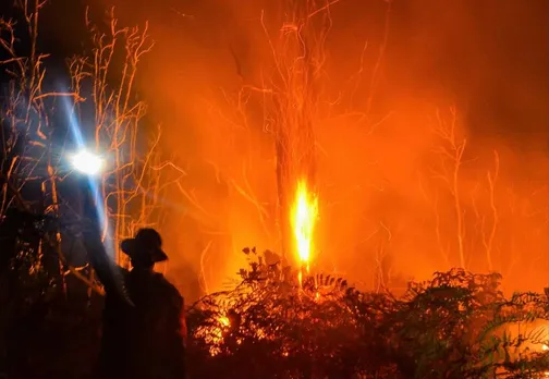 Similipal forest fire