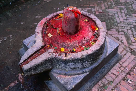 what to eat during sawan somvar fast and what to avoid